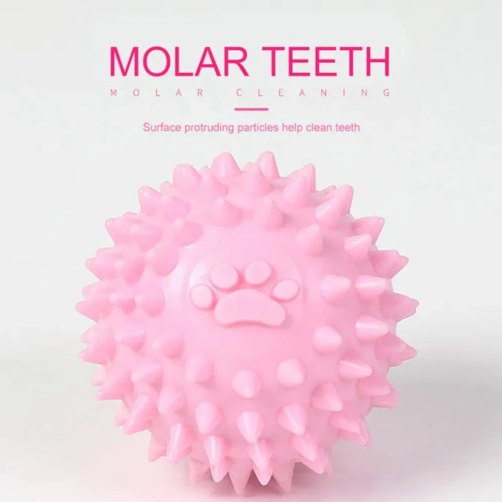 Bola de borracha interativa para mastigar, ideal para cães de pequeno e grande