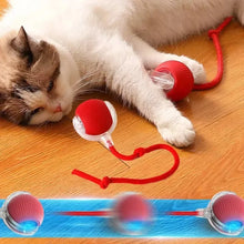 Carregar imagem no visualizador da galeria, Bola elétrica inteligente para cães e gatos, brinquedo interativo de pelúcia

